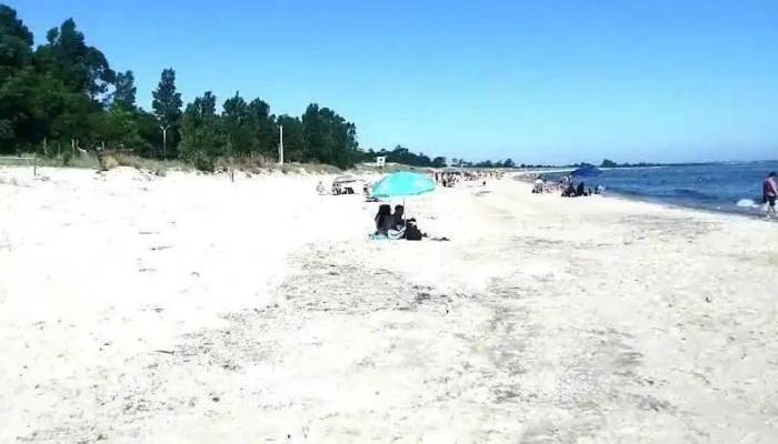 Marcelo Meneses Negocios Inmobiliarios - San José De Mayo