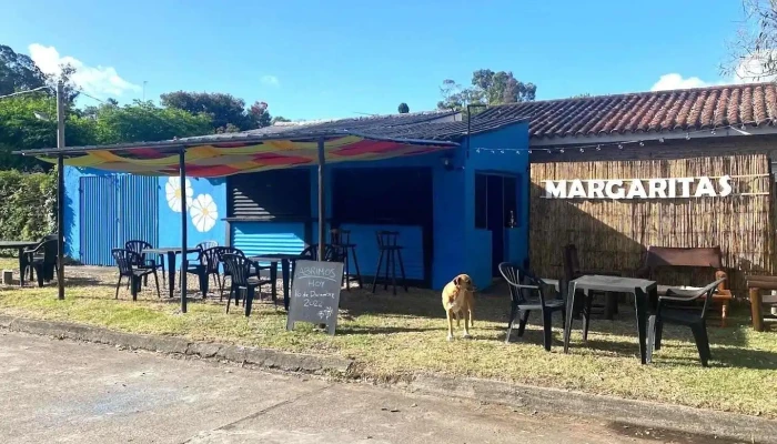 Margaritas Empanadas:  Del Propietario