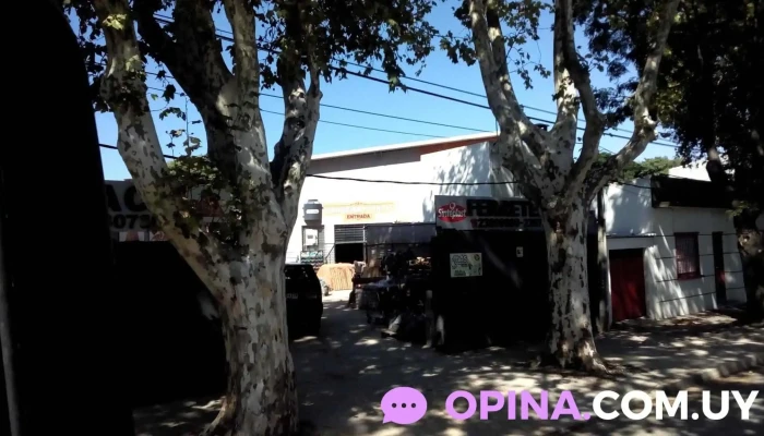 Market Group Srl - Montevideo