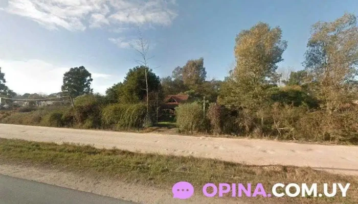 Marques - Ciudad De La Costa