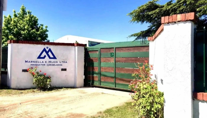 Marsella e Hijos - Atlántida