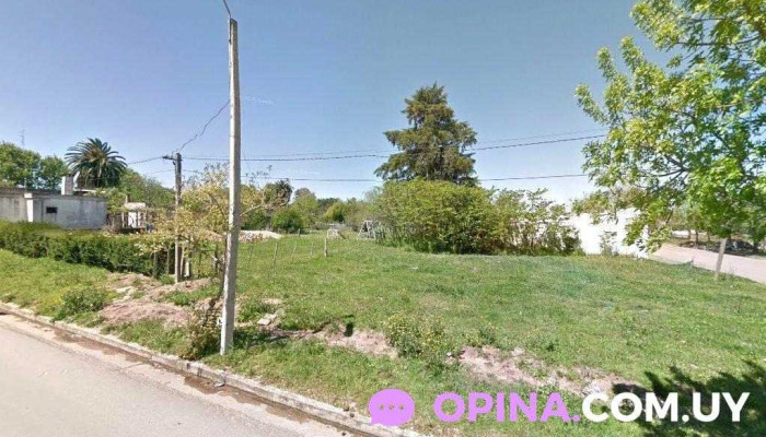 Mart Barberia - 97100 Sarandí Del Yí