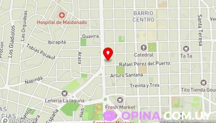 mapa de Marta Ojeda Inmobiliaria Agencia inmobiliaria, Administrador de la propiedad en Maldonado