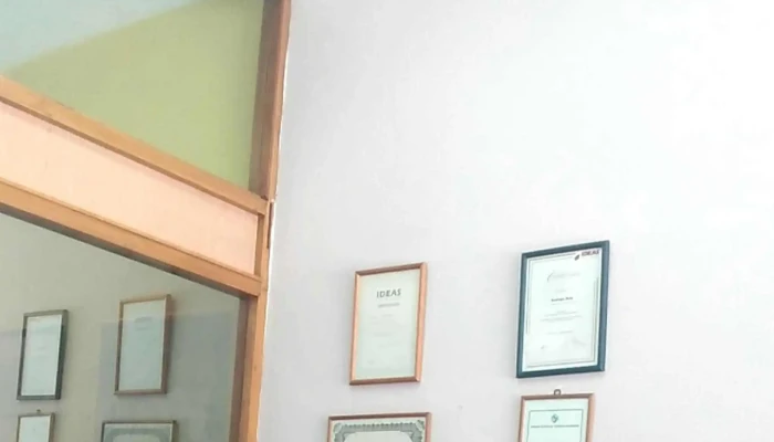 Maru Propiedades Opiniones - Punta del Este