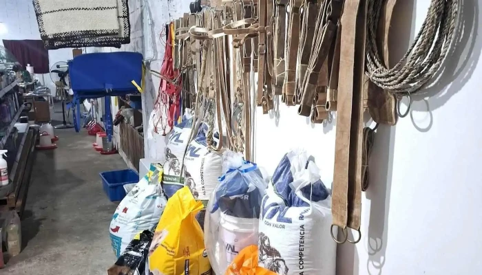 Mas Campo - Zorrilla De San Martin