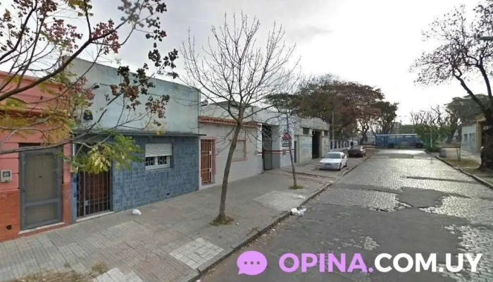 Mayorista verduras frutas comestibles alimentos para mascotas - 11900 Montevideo