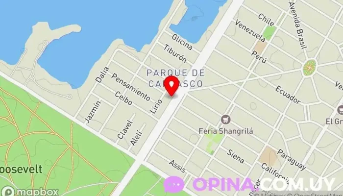 mapa de MC Propiedades Agencia inmobiliaria en Ciudad de la Costa