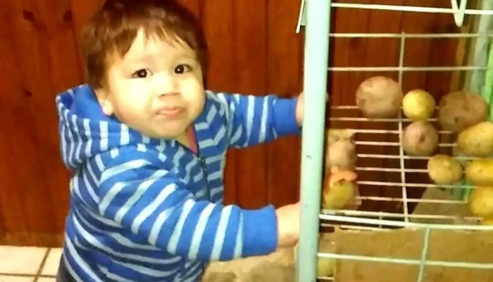 Mec Tomas Gomensoro Videos - Tomas Gomensoro