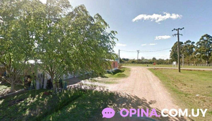 MedioLimón - San Antonio