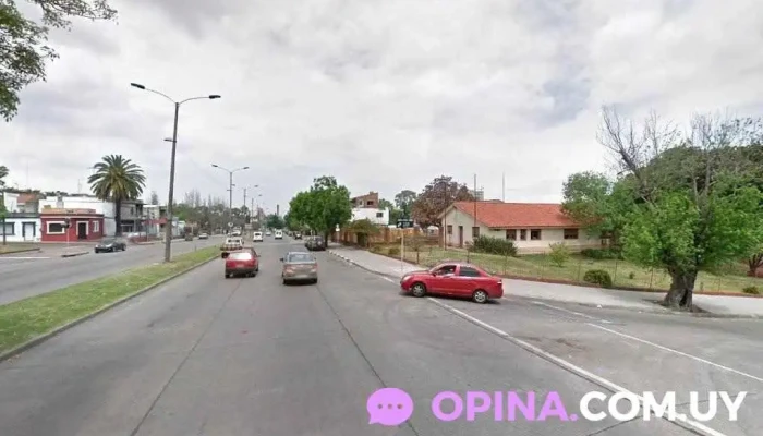 Mendizabal / Dinello Propiedades - Montevideo