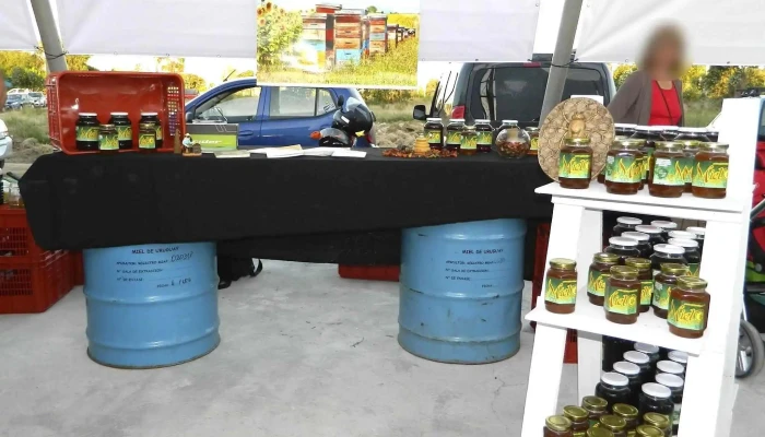 Mercado de Cercanía - 5 Entre El Petiribi Y