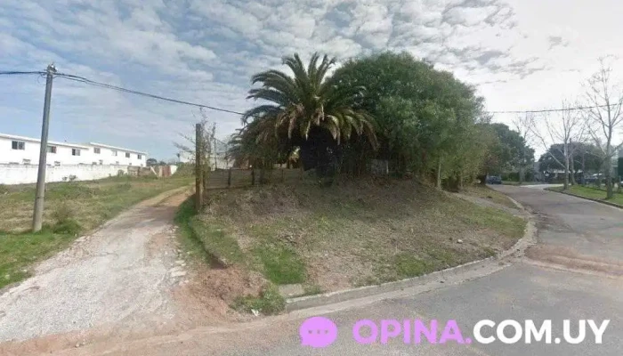 Mercado Miguel - 20000 Maldonado