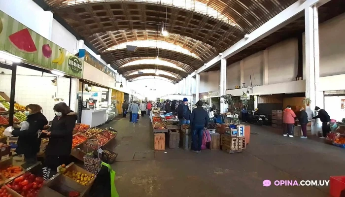 Mercado Municipal:  Interior