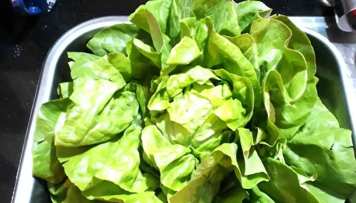 Mercado Peluffo Autoservicio - 91000 Pando