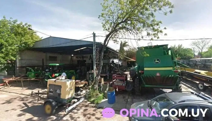 Metalurgica Algeris - 65100 Young