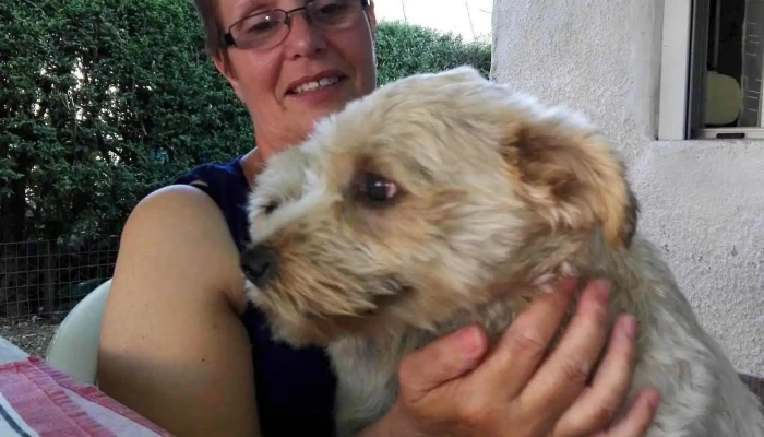 Mevir 1 Montes -  De Los Visitantes - Montes