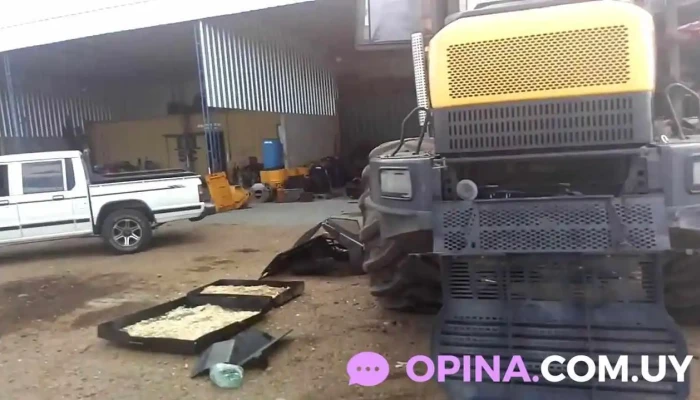 Mevir 1 Montes -  Videos - Montes