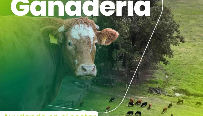 Mftopografia Ubicacion - Treinta y Tres