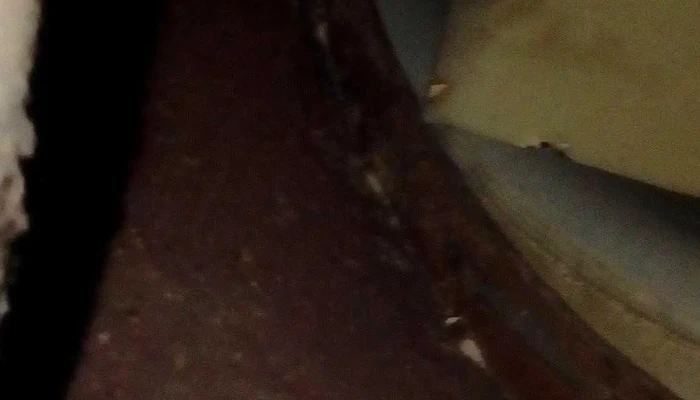 Mi casa - 30000 Mariscala