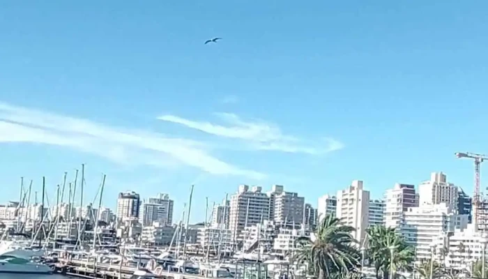 Mi Hogar -  Exterior - San Carlos