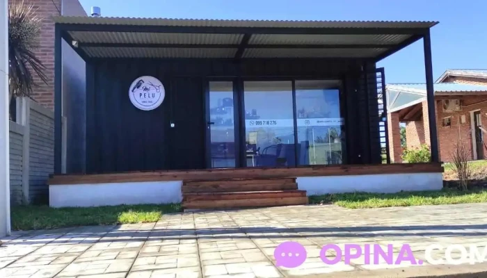 Mi pelu - 70700 Nueva Palmira