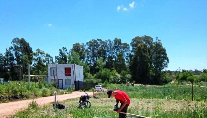 Mi Sueno Comentarios - Montevideo