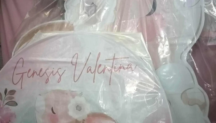 Micar Plast - Las Piedras