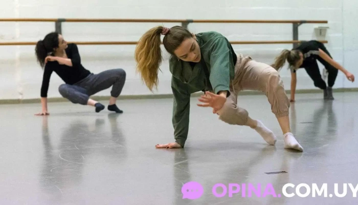 Mikado | Estudio de arte y movimiento - Montevideo