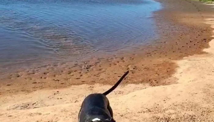 Millan4603 -  De Los Visitantes - Montevideo