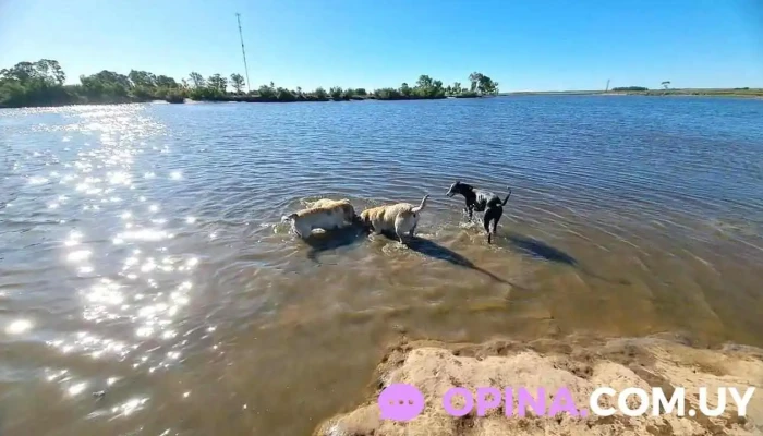 Millan4603 -  Videos - Montevideo