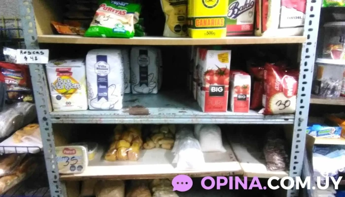 MiniEco Paulina - 15700 Toledo