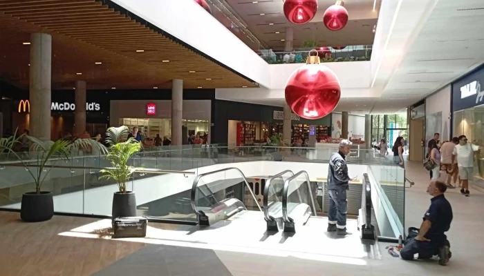 Miniso - 20000 Maldonado