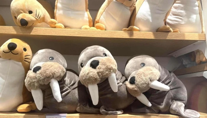 Miniso Centro -  Interior - Montevideo