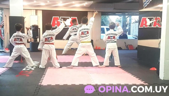 Mirae Artes Marciales -  Comunidad - Ciudad de la Costa