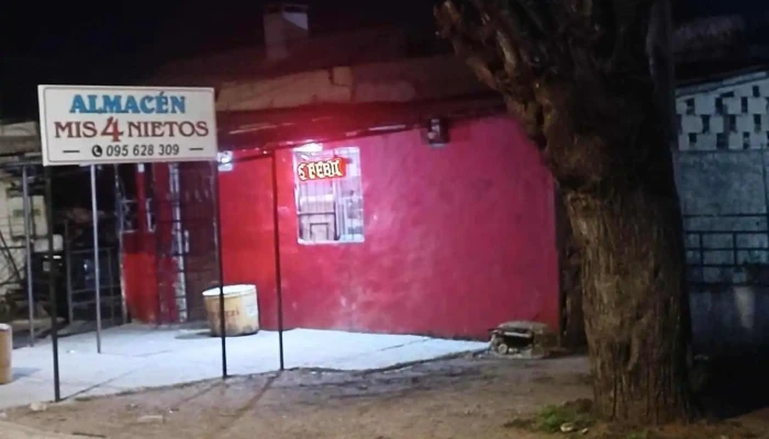 Mis 4 nietos - Pedro Rosa Giffuni