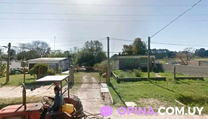 Mis Palttitas - Montevideo