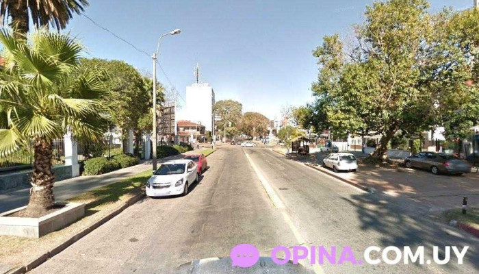 Mizzy Store - 11800 Montevideo