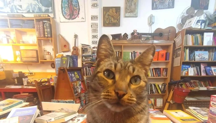 Moebius -  Comentarios - Montevideo