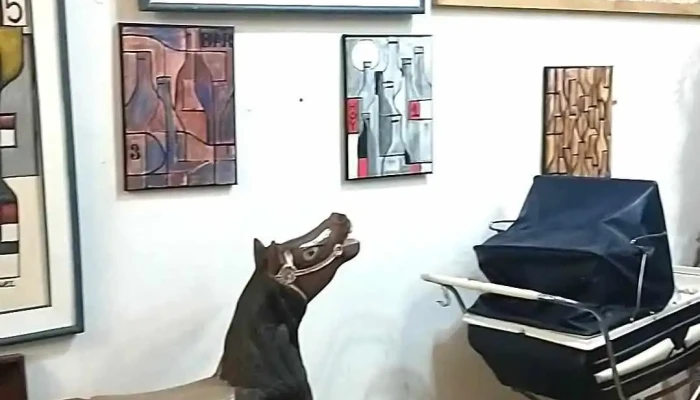 Moebius -  Videos - Montevideo