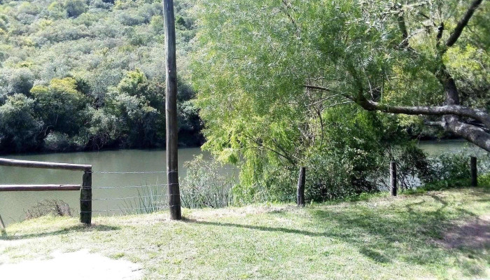 Monte De Ombúes - Vejigas