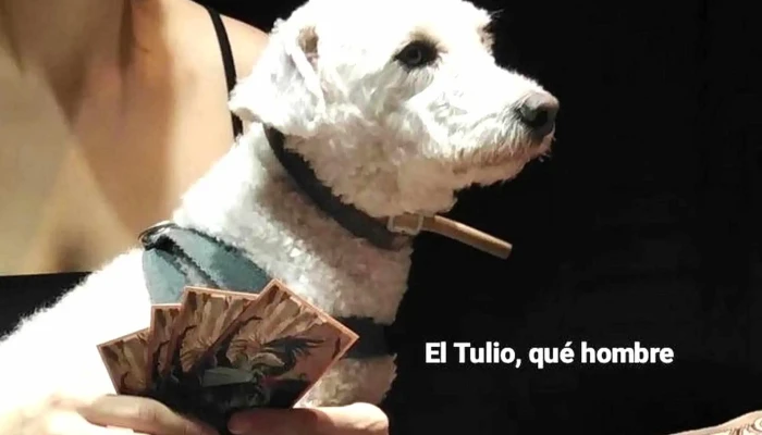 Montevideo Gaming House -  Descuentos - Montevideo