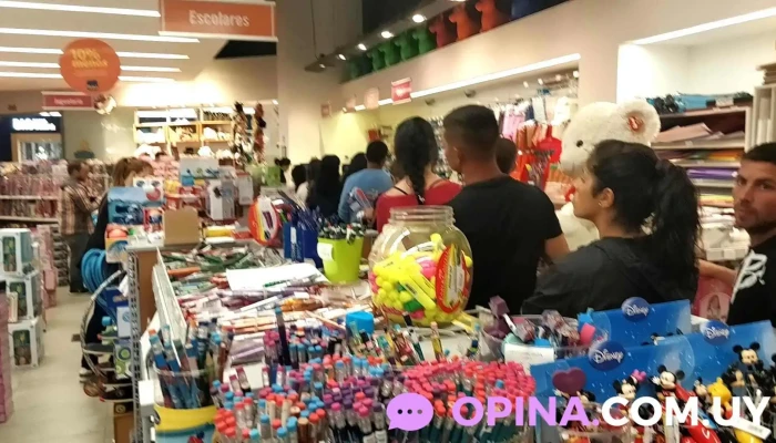 Mosca -  Interior - Ciudad de la Costa