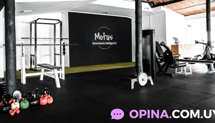 Motus -  Gimnasio - Punta del Este