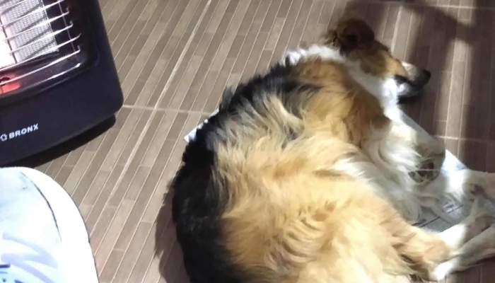 Mueblería Lérida - Rodríguez