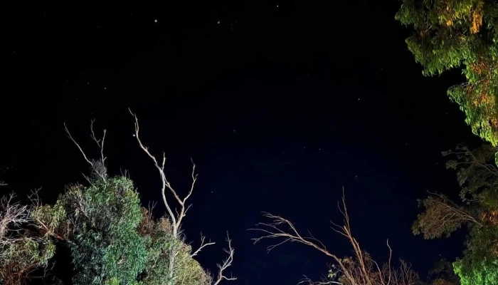 Muelles De La Barra Del Chuy -  Barra Del Chuy - Barra del Chuy