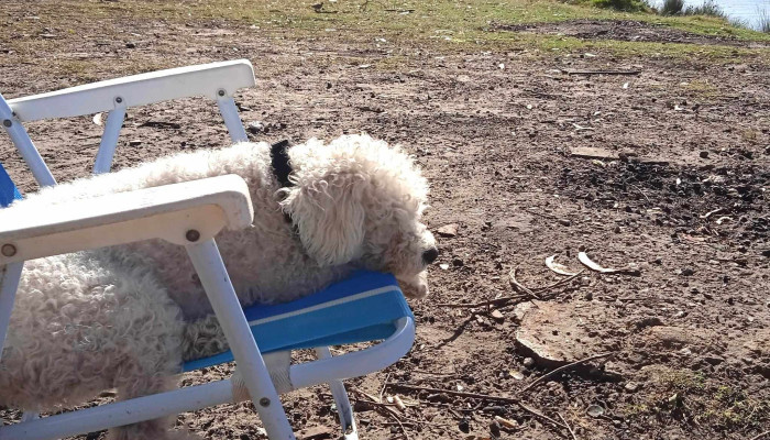 Muelles De La Barra Del Chuy -  Cerca De Mi - Barra del Chuy