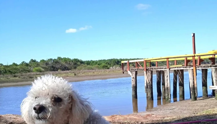 Muelles De La Barra Del Chuy -  Descuentos - Barra del Chuy