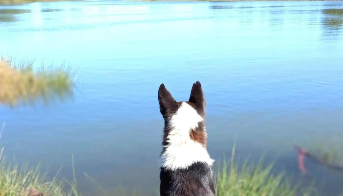 Muelles De La Barra Del Chuy -  Numero - Barra del Chuy