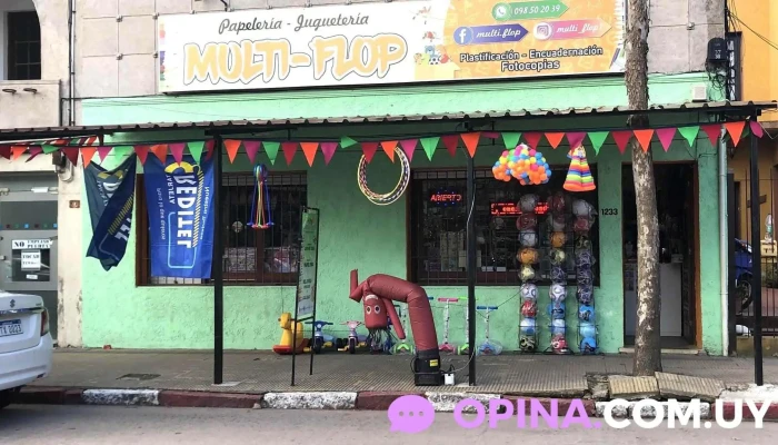 Multi -    Flop Del Propietario - Treinta y Tres