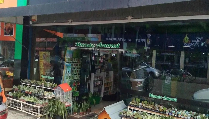 Mundo Animal - Tienda 1 - - Centro